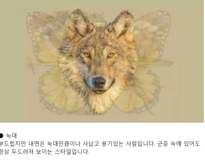 먼저 보이는 그림으로 하는 성격테스트.jpg | 인스티즈