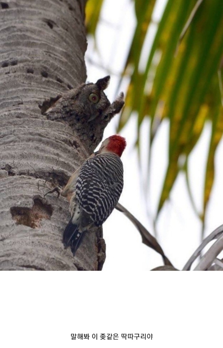 거 남들 자는 시간에 그러면 쓰나? | 인스티즈