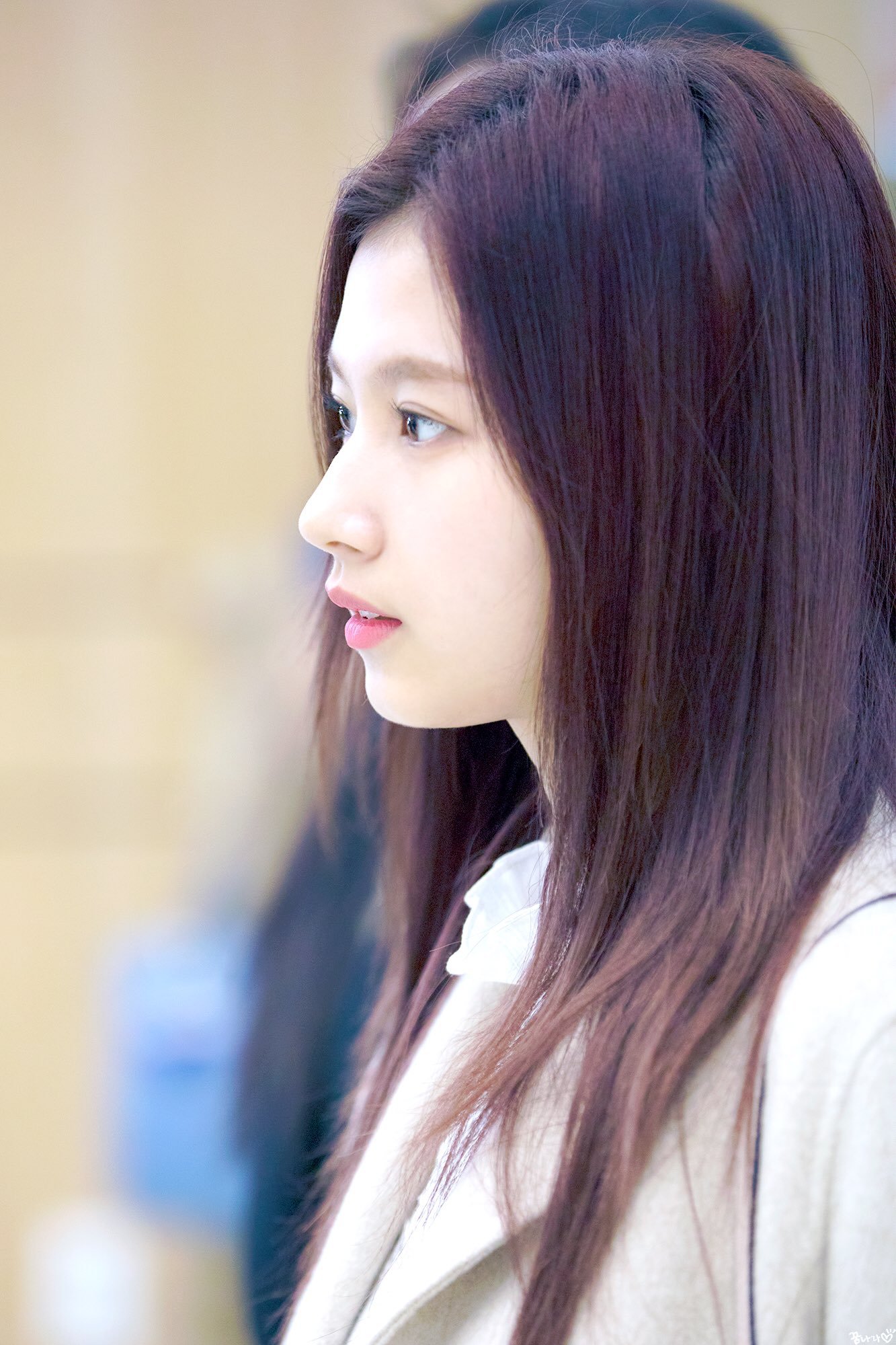 오늘이 생일인 트와이스 사나.jpgif | 인스티즈
