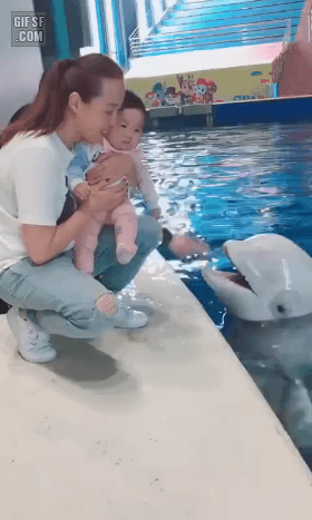 아기한테 뽀뽀하는 벨루가.gif | 인스티즈