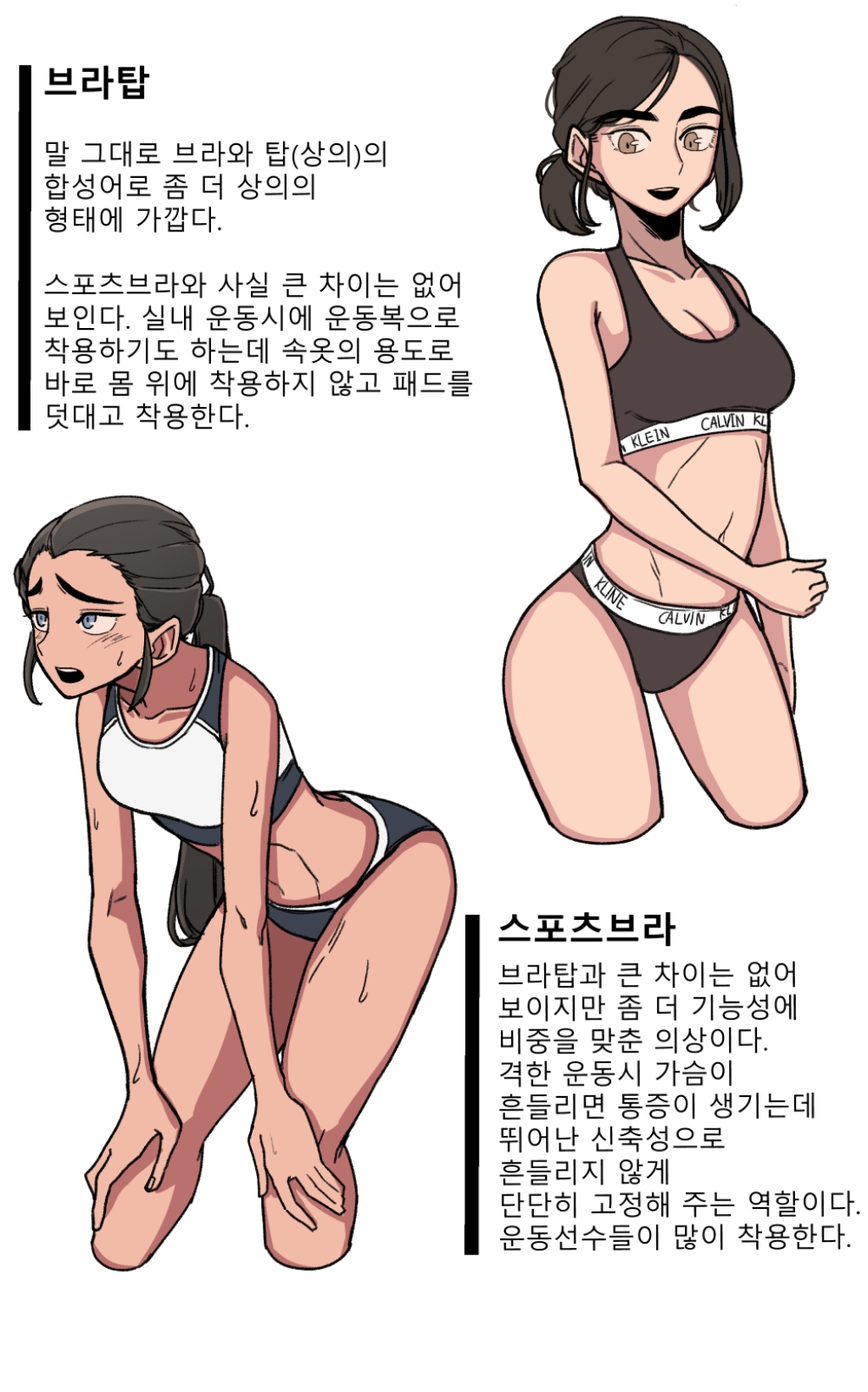 속옷에 대해 알아보는 만화.jpg | 인스티즈