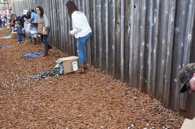 美 텍사스주 '병뚜껑 골목' | 인스티즈