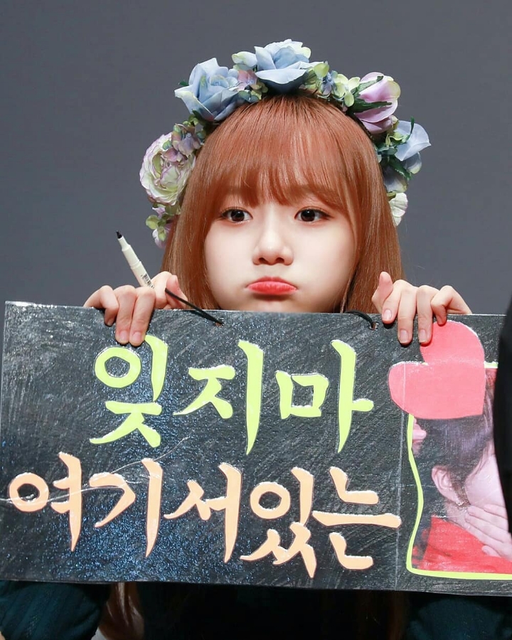 아이즈원 쪼율.jpgif | 인스티즈