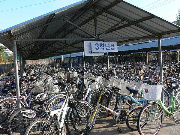 자전거의 도시 상주 | 인스티즈