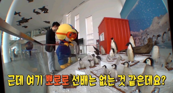 [충격] 뽀로로는 펭귄이 아니다? | 인스티즈