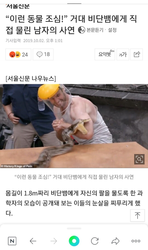 거대 비단뱀에게 물려보는 프로그램.gif (혐오주의) | 인스티즈