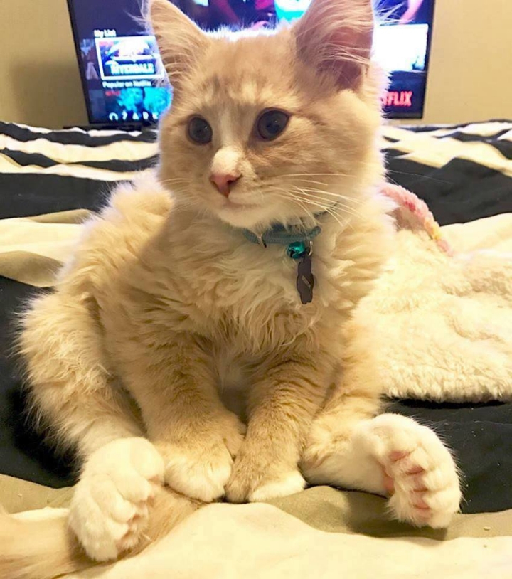 나 왕발이다냥.jpg | 인스티즈