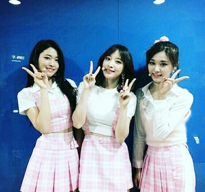 하니 없이 돌아올 하설쯔 | 인스티즈