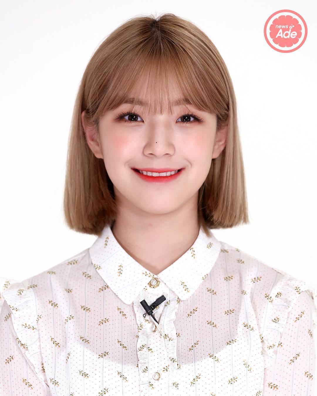 뉴스에이드 프로미스나인 증명사진 | 인스티즈