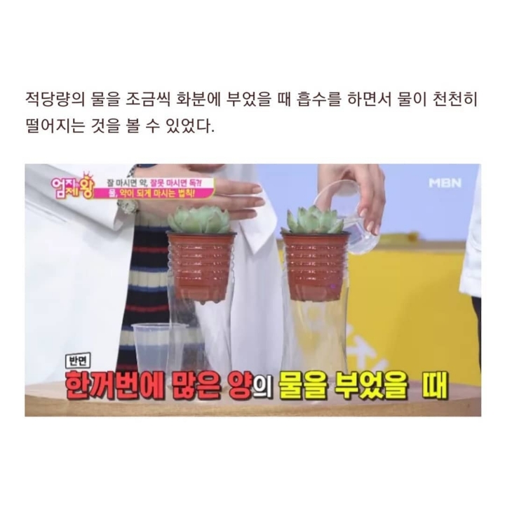 물 마실때 주의해야 하는 거... | 인스티즈