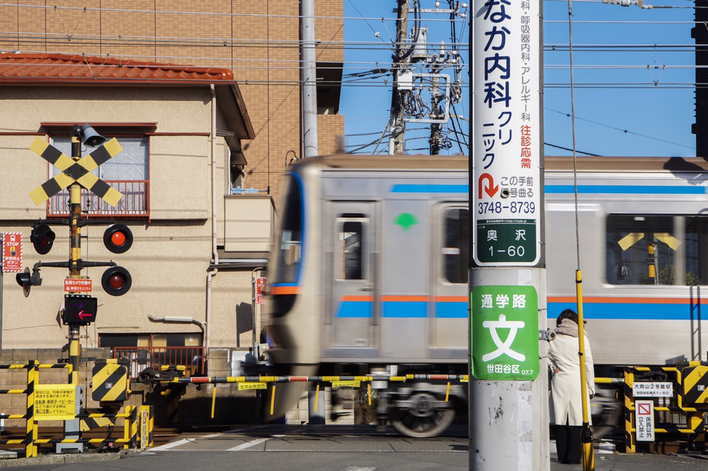 2018년 찍었던 사진 중 맘에 드는 것들 | 인스티즈