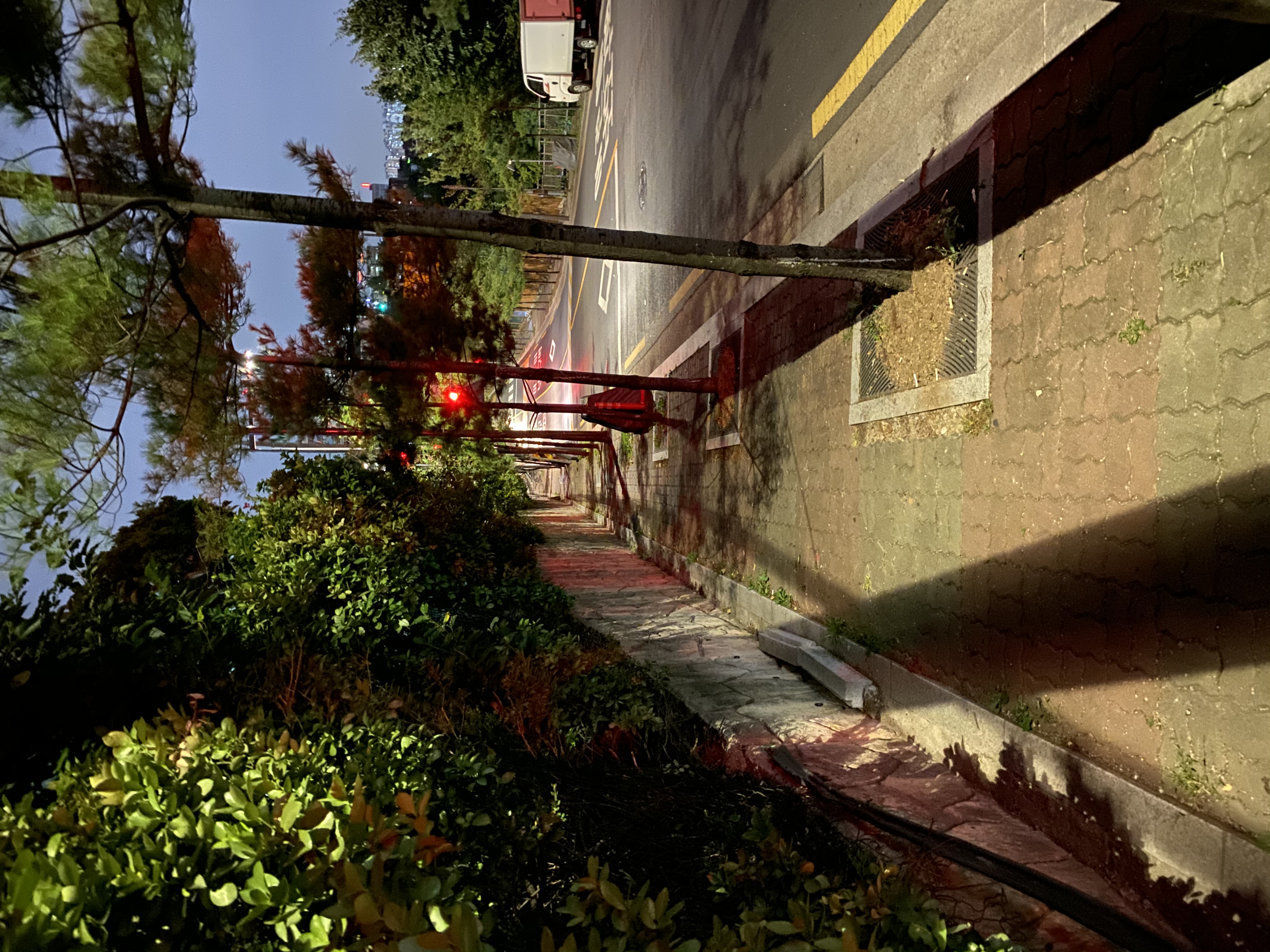 아이폰 11 나이트모드샷 | 인스티즈