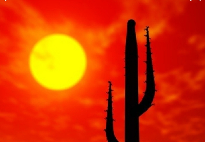 둘중 더 가능한 것은? | 인스티즈