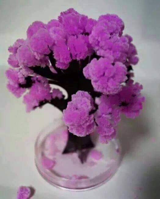 종이에서 피는 벚꽃 | 인스티즈