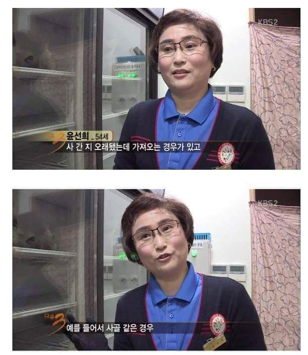 고객센터에서 일하면 보게 되는 진상 손놈들 | 인스티즈