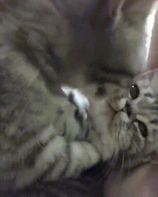 상남자식 그루밍 | 인스티즈