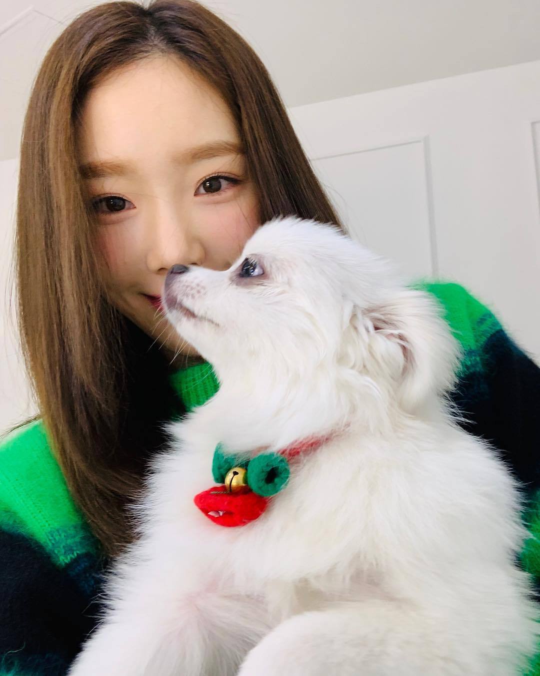 오늘자 태연 탱스타그램.jpg | 인스티즈