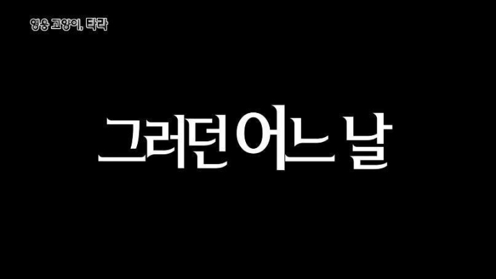 신비한 TV 서프라이즈 패턴 | 인스티즈