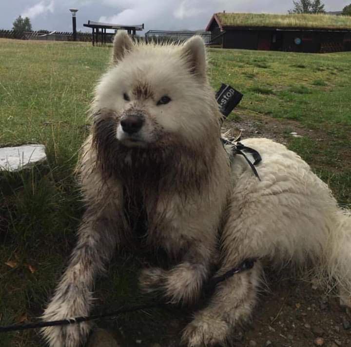 좀놀다왔다는데 니가 뭐.. | 인스티즈