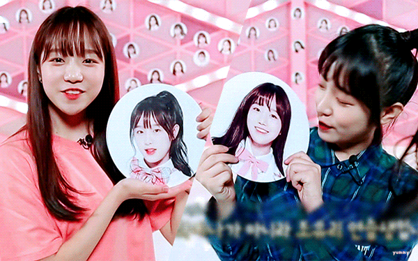 아이즈원 공식커플 | 인스티즈