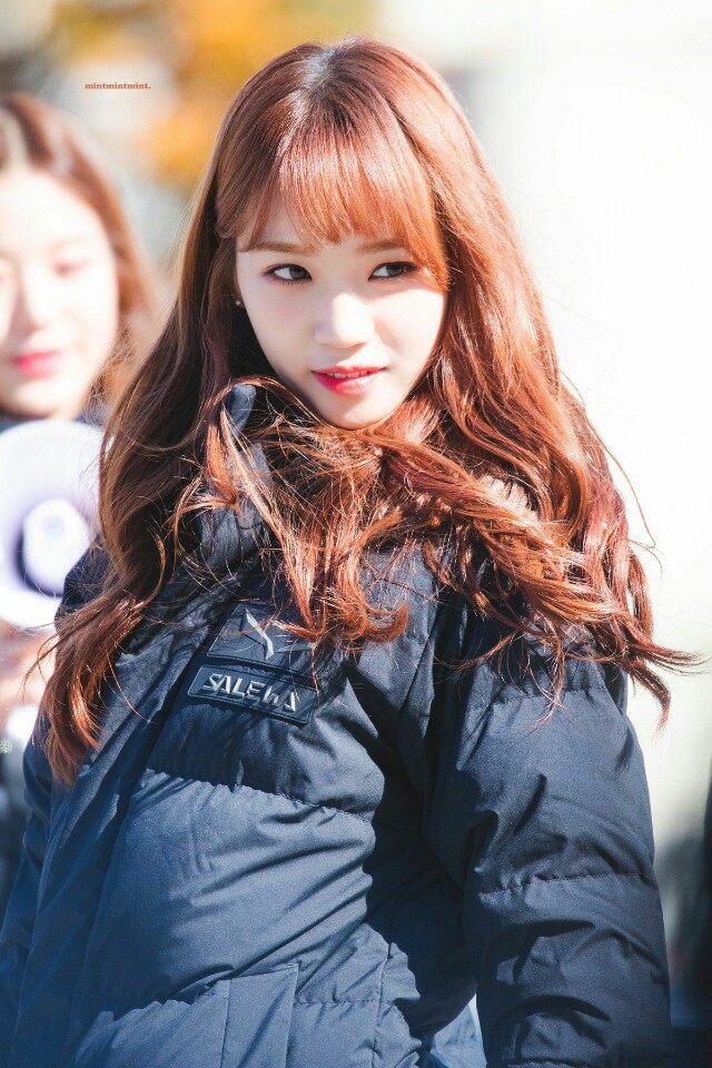 채원이 보고가세여 | 인스티즈