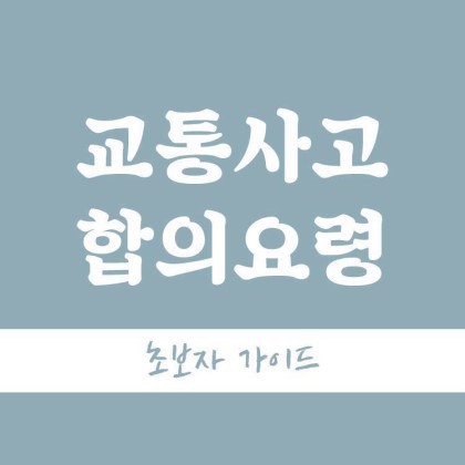 교통사고 합의 요령(초보자 가이드) | 인스티즈