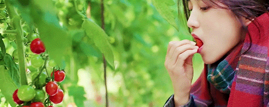 리틀 포레스트 음식들.gif | 인스티즈