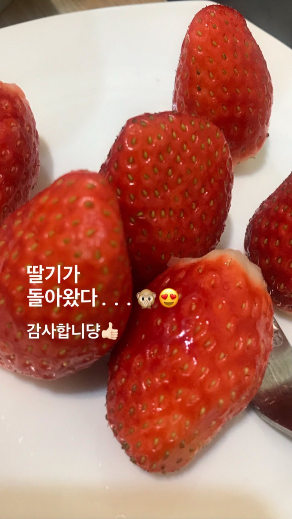 트와이스 채영 인스타그램 스토리 | 인스티즈
