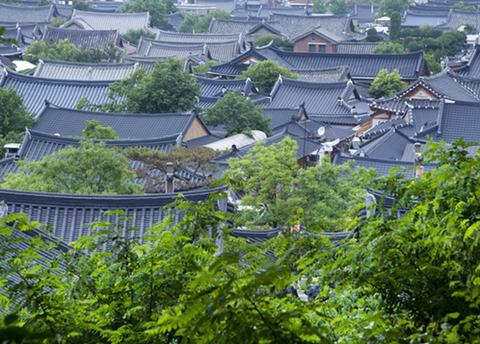 두 도시중 한곳에서 살아야한다면? 광주 vs 전주 | 인스티즈