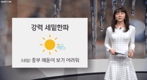 이쁘고 단아하고 청순한 외모의 기상캐스터 甲.gif | 인스티즈