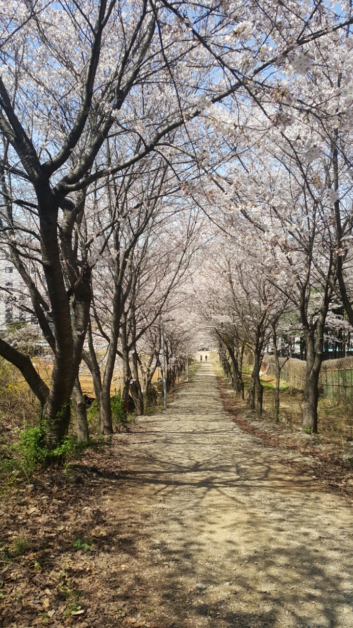 아래에 너무 멋진 사진이 있어서 저도 아무 사진 올려봄 (정말 아무 사진 주의) | 인스티즈
