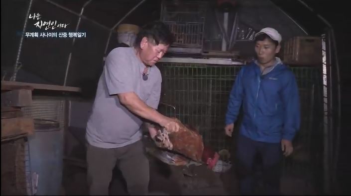 닭 잡는 자연인.jpg | 인스티즈