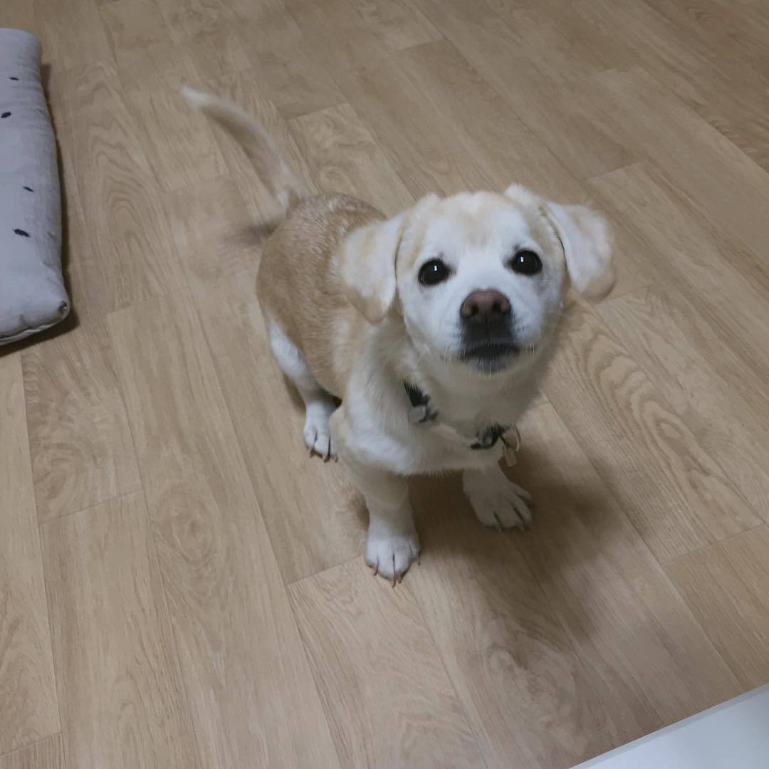오늘자 짱절미 인스타그램.jpg | 인스티즈