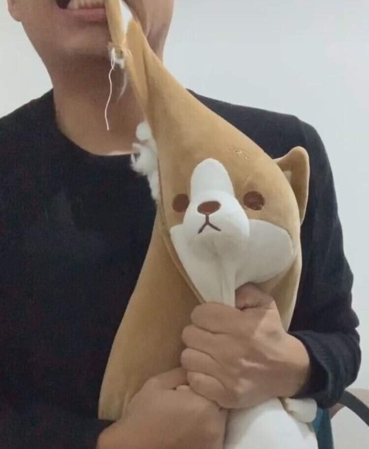 댕댕이의 만행. 그리고.... | 인스티즈