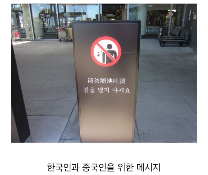 뉴질랜드 크라이스트처치 공항에서 볼 수 있는 광경.jpg | 인스티즈