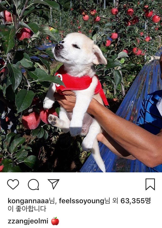 사과 구경하는 짱절미 | 인스티즈