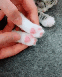 너무 은밀한 핑크색 속살 | 인스티즈