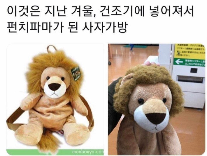 건조기 헤어펌 .jpg | 인스티즈
