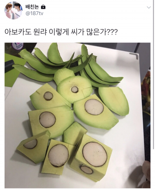 아보카도 원래 이렇게 씨가 많은가??.twt | 인스티즈