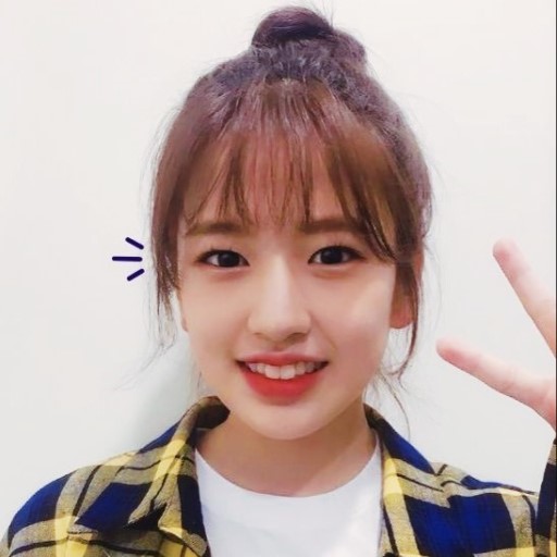 아이즈원 대형견 안댕댕.jpgif | 인스티즈