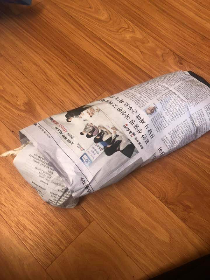 강아지를 죽인 교사 | 인스티즈