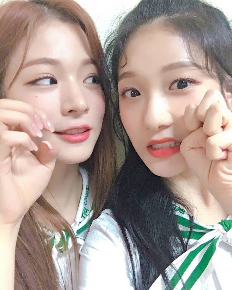 프로미스나인 빵빵즈 친구들 | 인스티즈