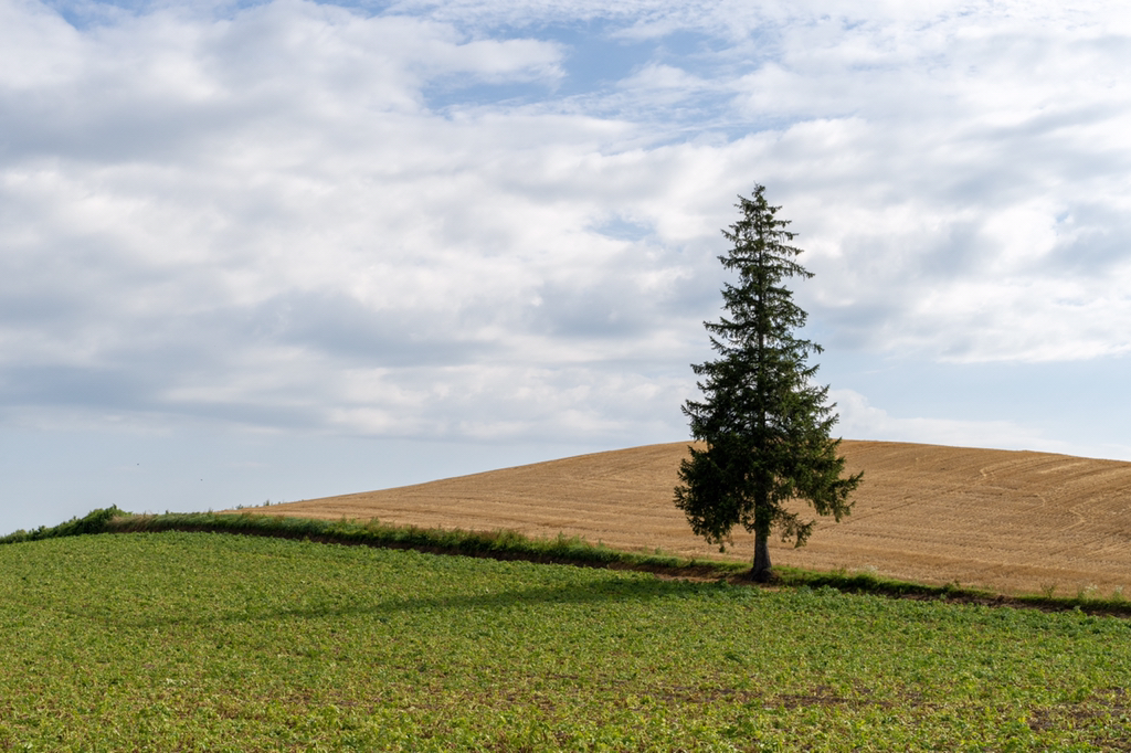 2018년 찍었던 사진 중 맘에 드는 것들 | 인스티즈