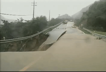 2002년 태풍 루사 위력 | 인스티즈