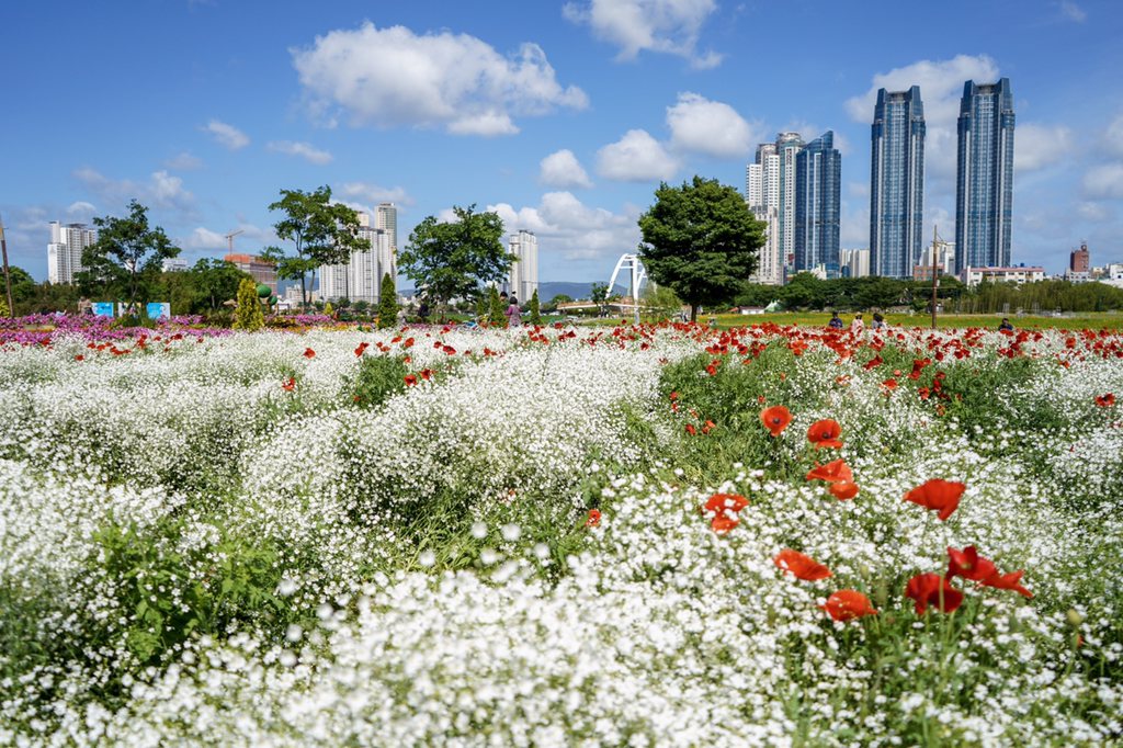 2018년 찍었던 사진 중 맘에 드는 것들 | 인스티즈