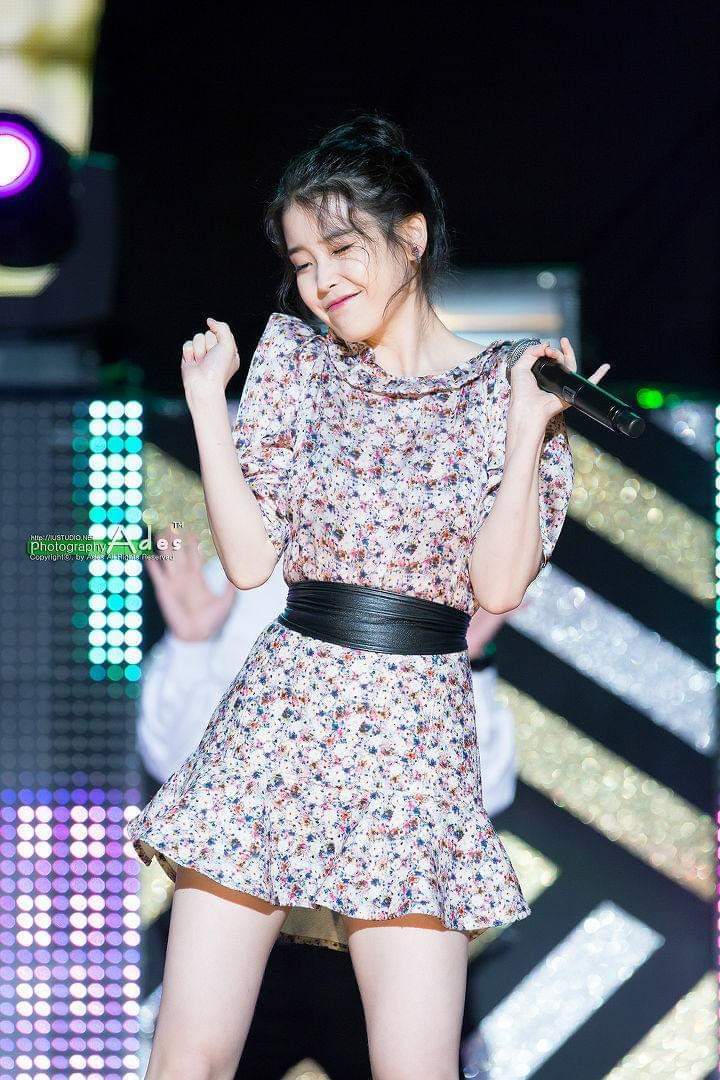 믿고 보는 아이유 | 인스티즈