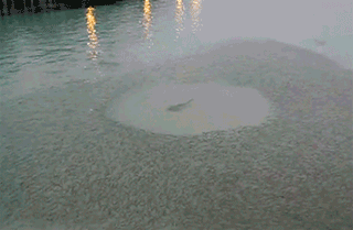 아슈님이 클럽갔다가 여자들 반응보고 쫒겨나는 짤 | 인스티즈