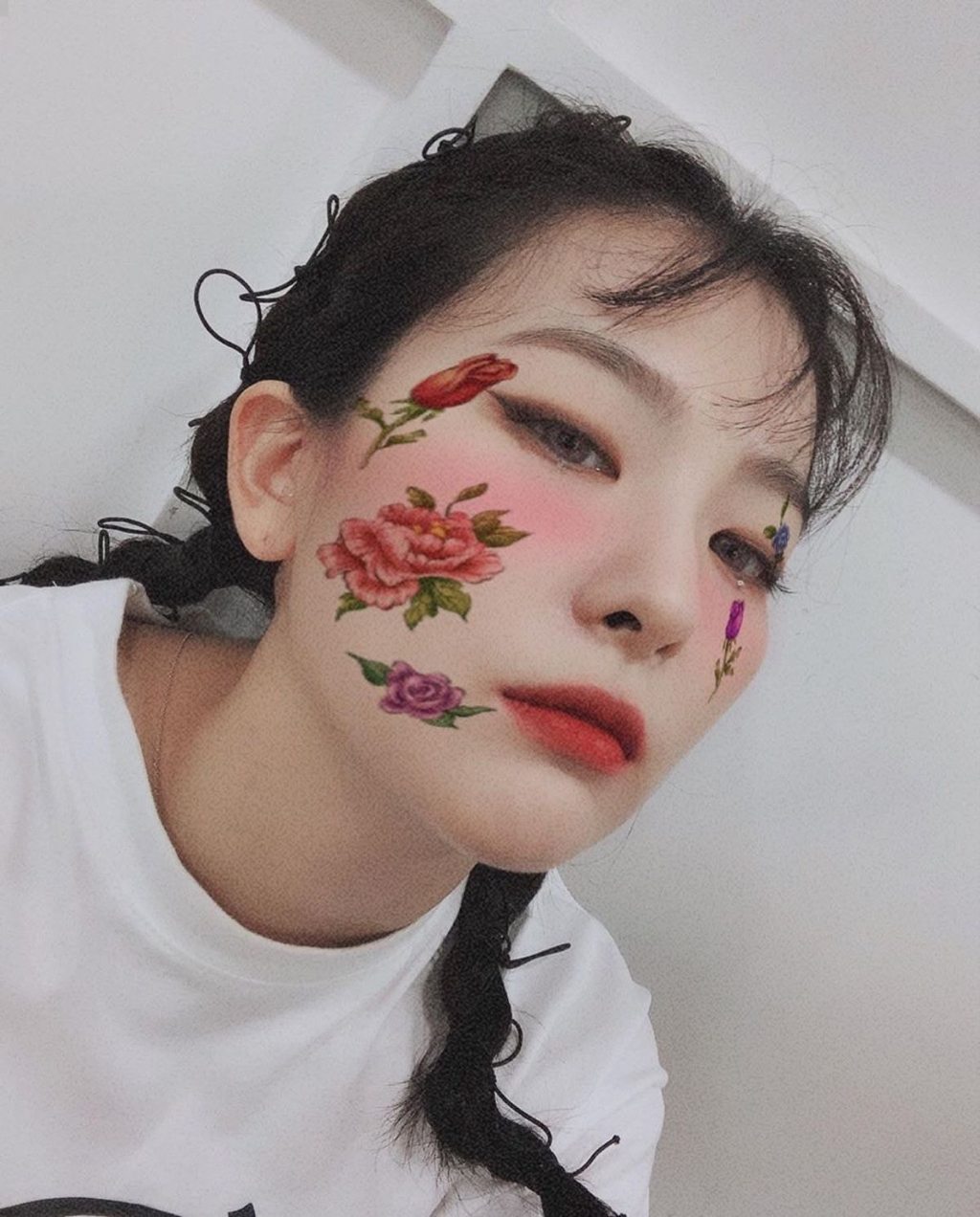 자기 자신이 생각한 슬기와 팬들의 생각한 슬기의 차이ㅋㅋㅋ.jpgif | 인스티즈