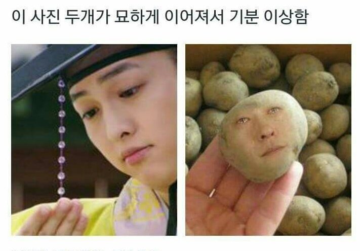 묘하게 이어지는 사진 | 인스티즈