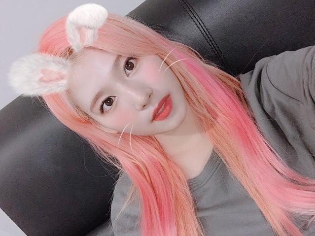 트와이스 사나 인스타그램 2 | 인스티즈